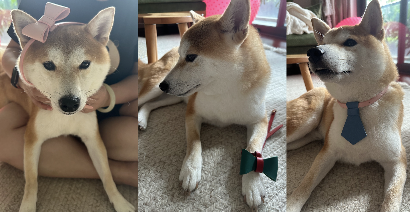 Leave blank space is a kind of wisdom-PPZEN