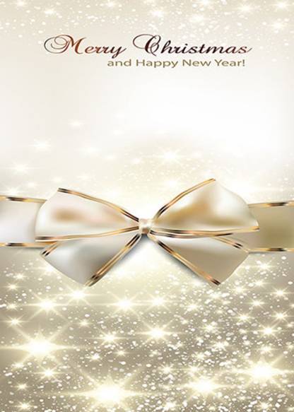 Golden Bow Christmas Door Cover - Christmas Door Covers - Outdoor Christmas Decorations - Front Door Decor - Holiday Door Covers