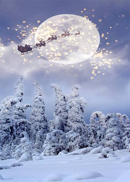 Sleigh Ride Door Cover - Christmas Door Covers - Outdoor Christmas Decorations - Front Door Decor - Holiday Door Covers