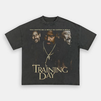 Unisex-Adult Ultra Cotton Washed T-Shirt Graphic  TRAINING DAY TEE 