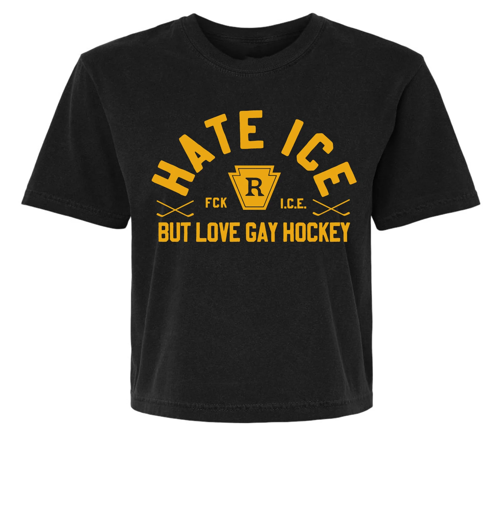I Hate ICE but Love Gay Hockey Heated Rivalry T-shirt/Cropped Tee