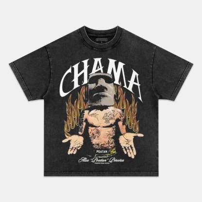 Unisex-Adult Ultra Cotton Washed T-Shirt Graphic ALEX PEREIRA VS JAMAHAL HILL TEE 