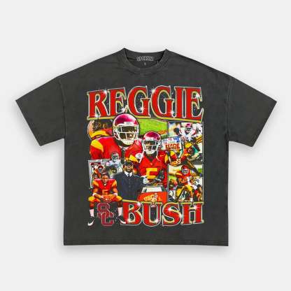 Unisex-Adult Ultra Cotton Washed T-Shirt Graphic REGGIE BUSH USC TEE 