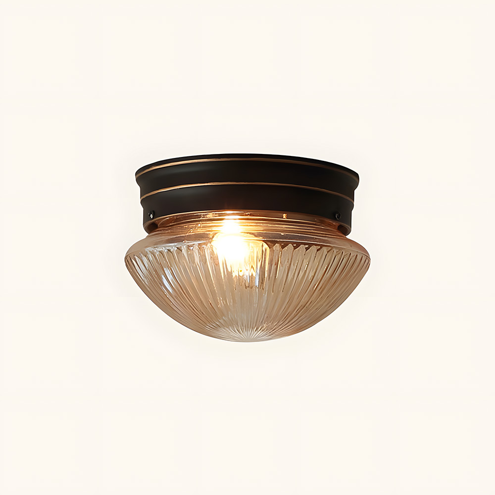 Modern Flush Mount Indoor Simple LED Ceiling Light
