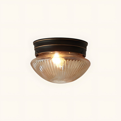 Modern Flush Mount Indoor Simple LED Ceiling Light