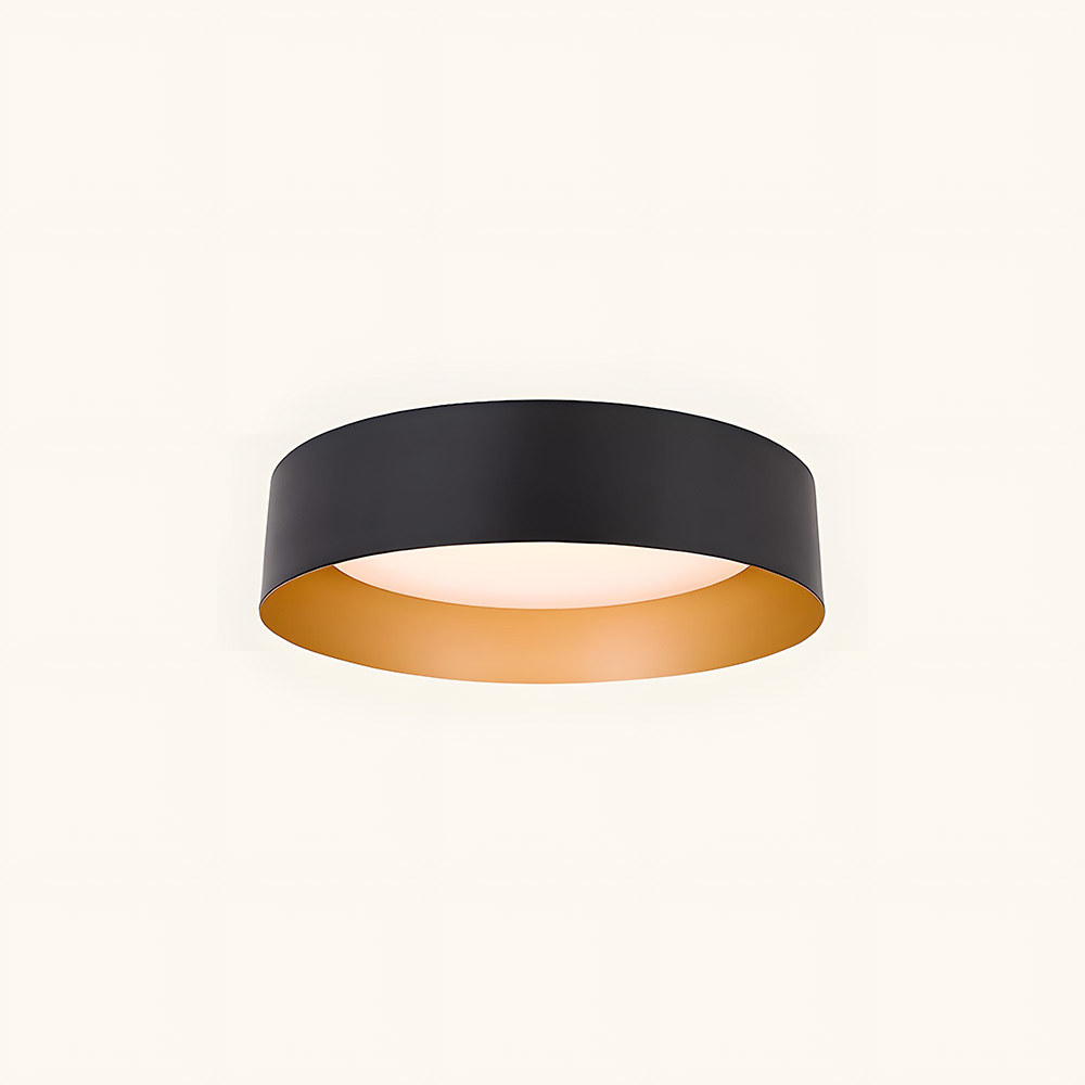 Modern Simple Metal Flush Living Room Ceiling Light Fixtures-12