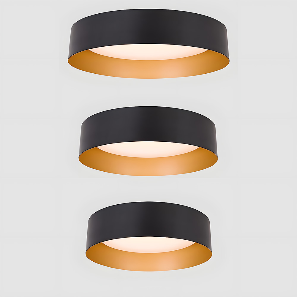 Modern Simple Metal Flush Living Room Ceiling Light Fixtures-15