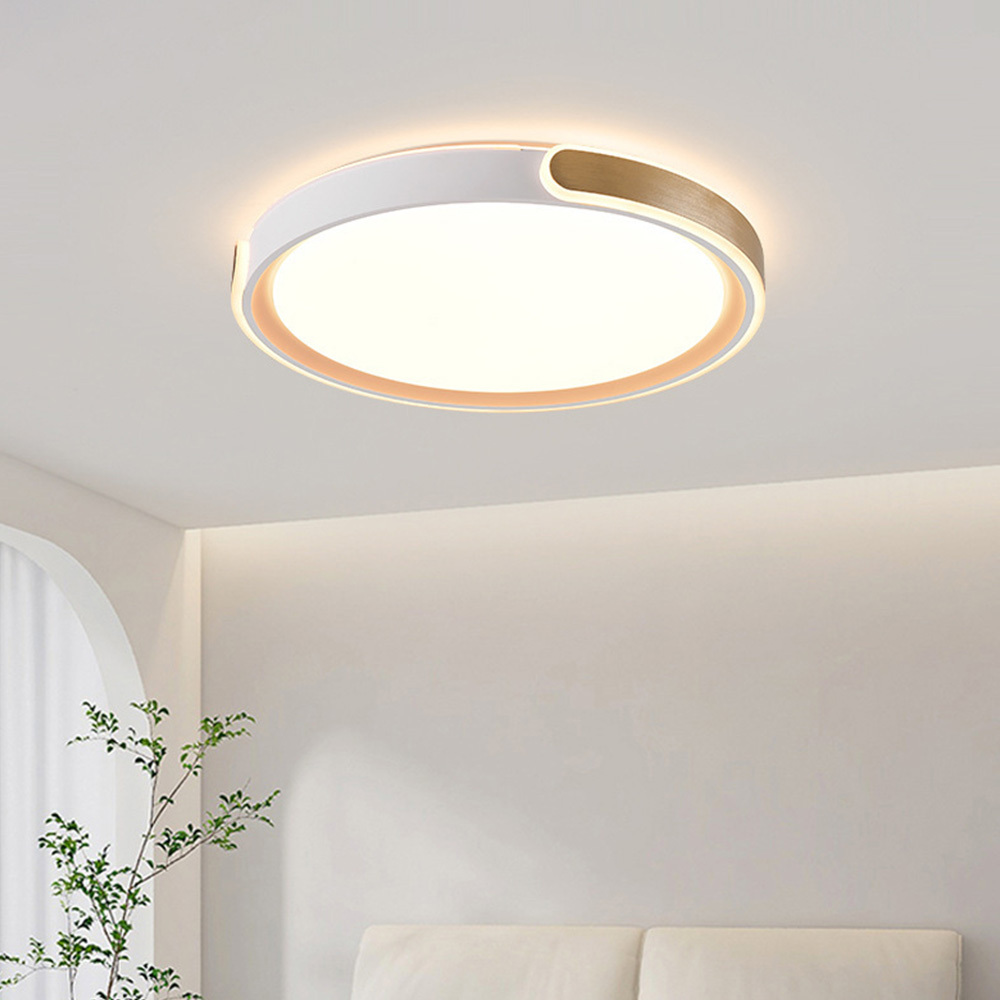 Modern Circle Metal LED Ceiling Light For Bedroom