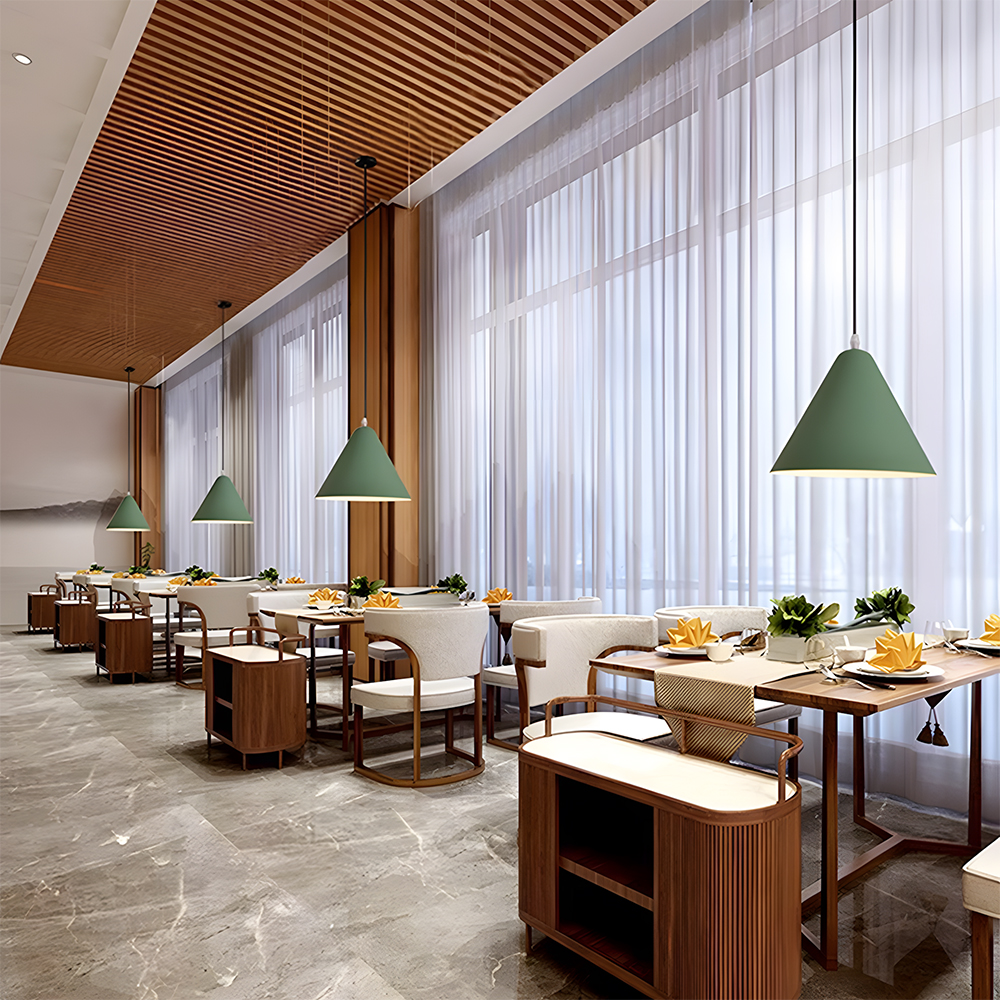 Modern Industrial Multi-Color Iron Pendant Light