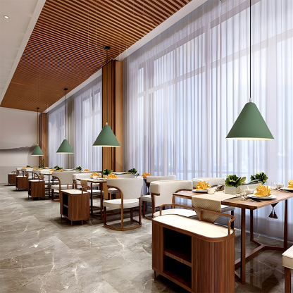 Modern Industrial Multi-Color Iron Pendant Light