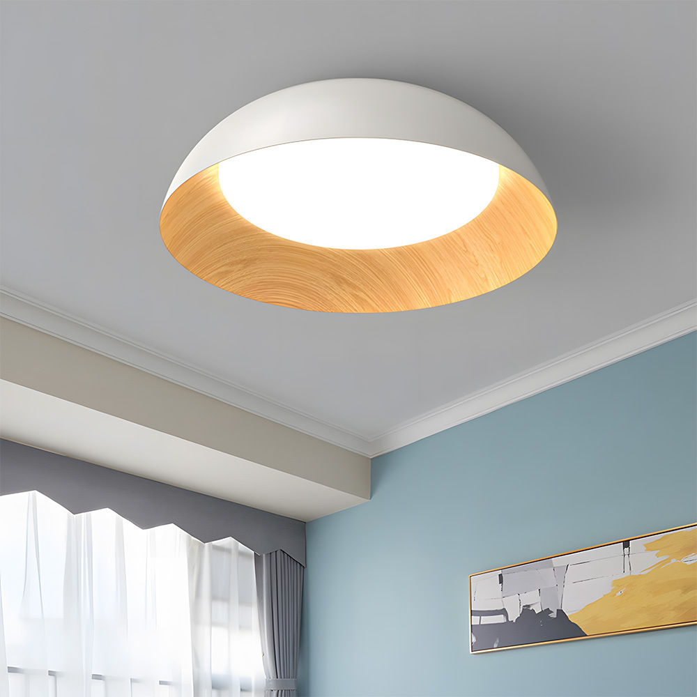 Minimalist Flush Mount Iron LED Ceiling Lamp