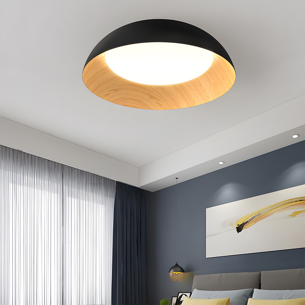 Minimalist Flush Mount Iron LED Ceiling Lamp