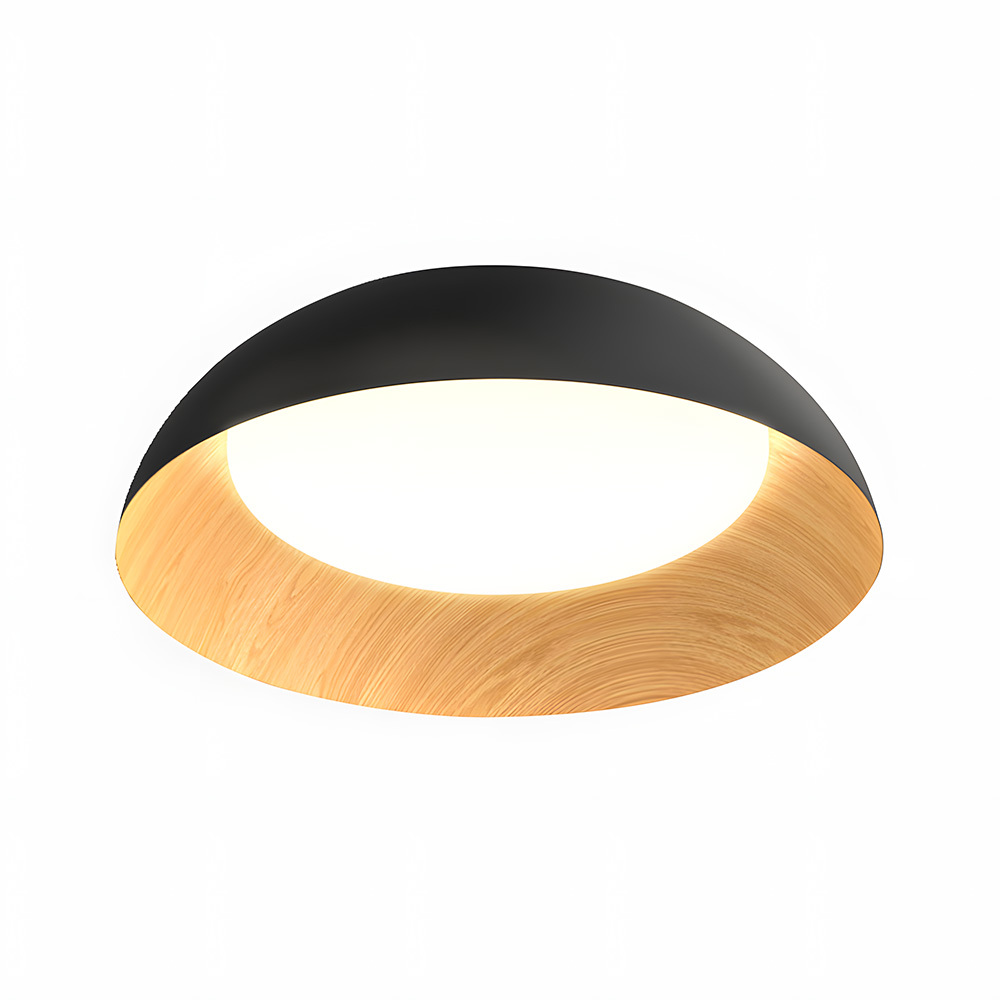 Minimalist Flush Mount Iron LED Ceiling Lamp