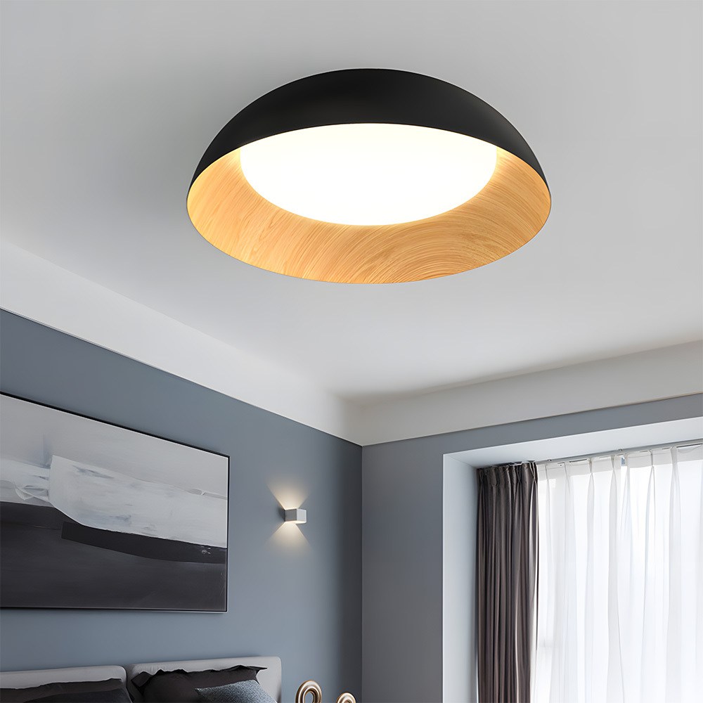 Minimalist Flush Mount Iron LED Ceiling Lamp