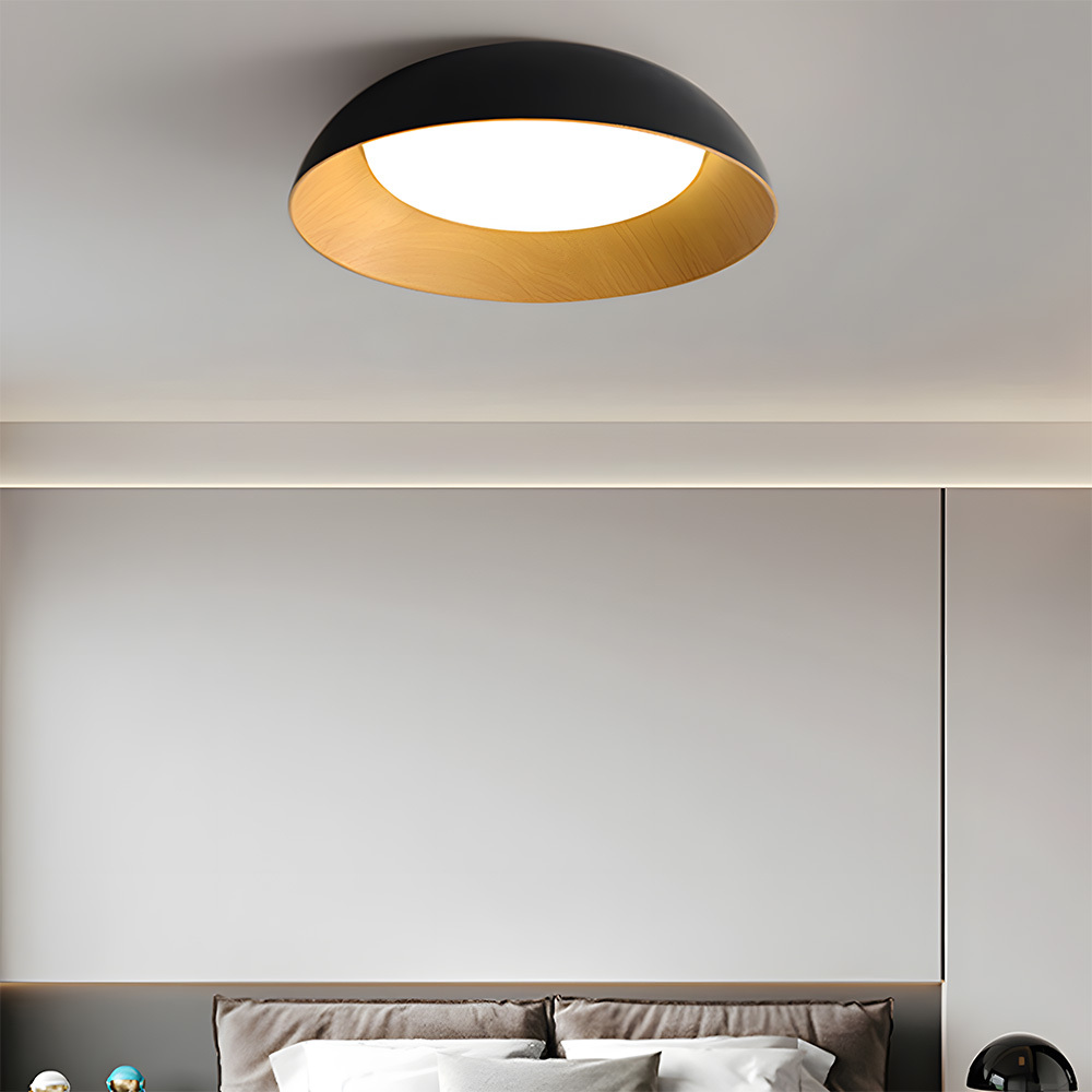 Minimalist Flush Mount Iron LED Ceiling Lamp
