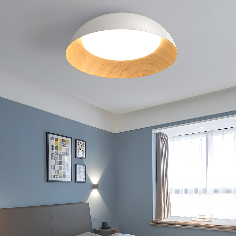 Minimalist Flush Mount Iron LED Ceiling Lamp