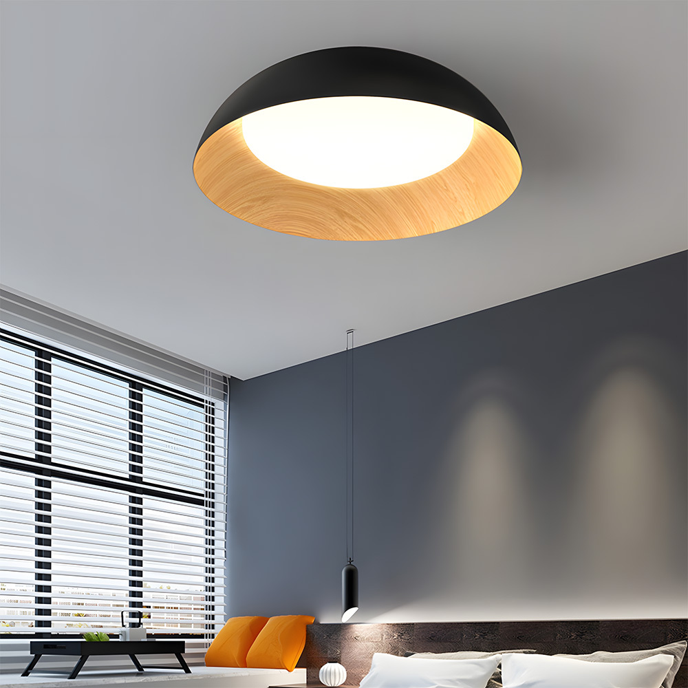 Minimalist Flush Mount Iron LED Ceiling Lamp