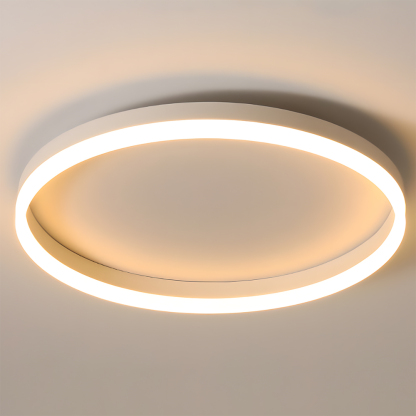 Modern Kitchen Round LED Ceiling Light Color Changing