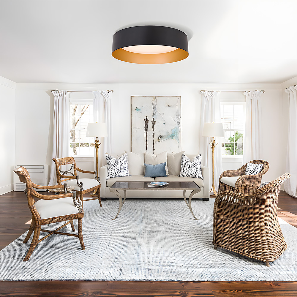 Modern Simple Metal Flush Living Room Ceiling Light Fixtures-10