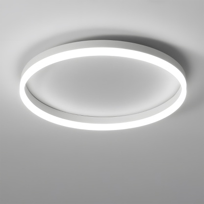Modern Kitchen Round LED Ceiling Light Color Changing