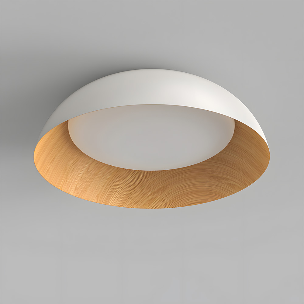 Minimalist Flush Mount Iron LED Ceiling Lamp