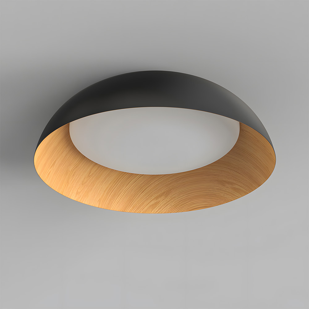 Minimalist Flush Mount Iron LED Ceiling Lamp