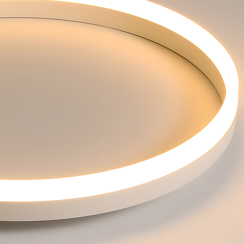 Modern Kitchen Round LED Ceiling Light Color Changing