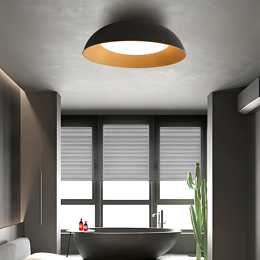 Minimalist Flush Mount Iron LED Ceiling Lamp