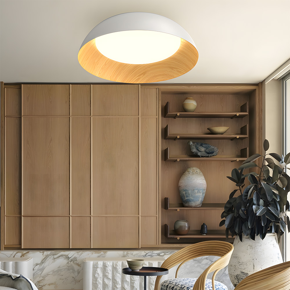 Minimalist Flush Mount Iron LED Ceiling Lamp