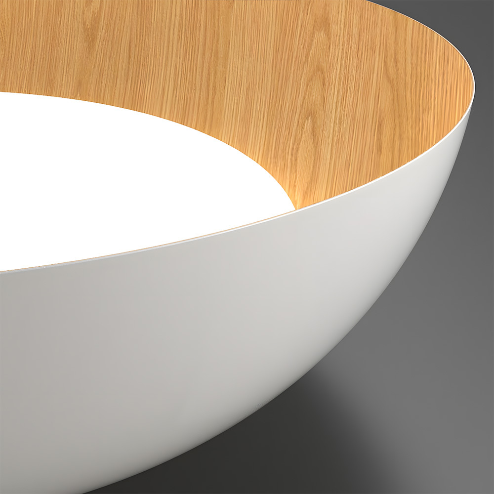 Minimalist Flush Mount Iron LED Ceiling Lamp