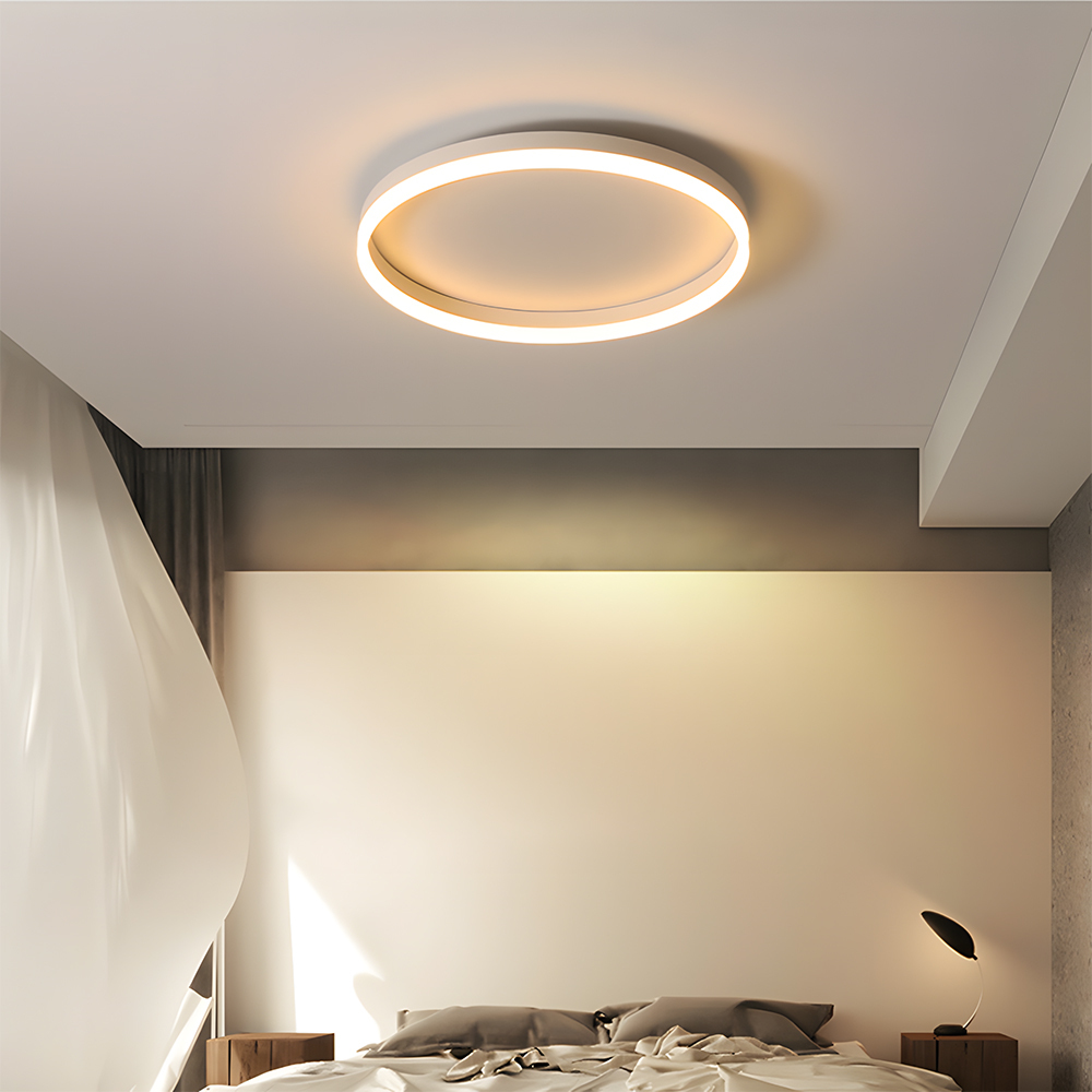 Modern Kitchen Round LED Ceiling Light Color Changing