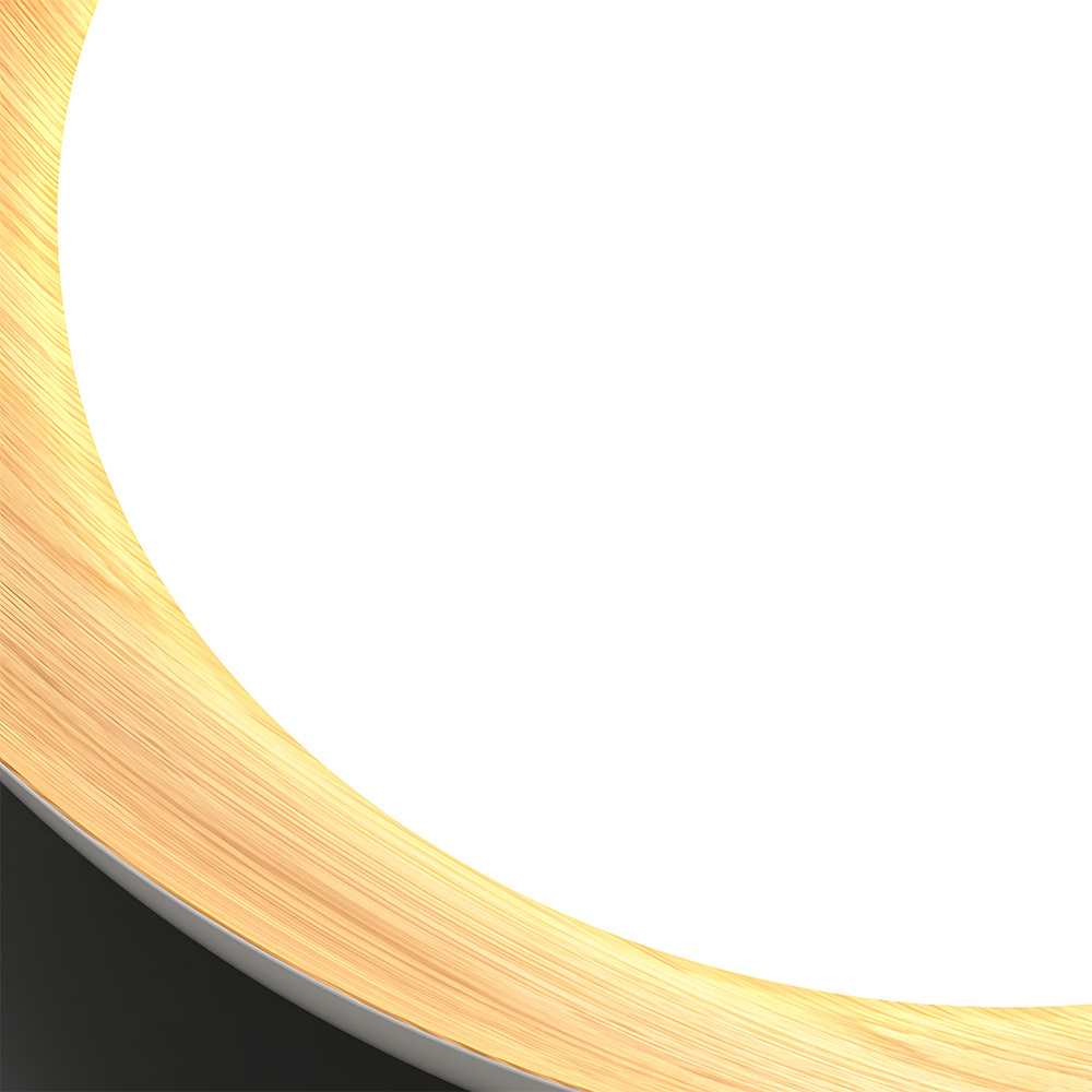 Minimalist Flush Mount Iron LED Ceiling Lamp