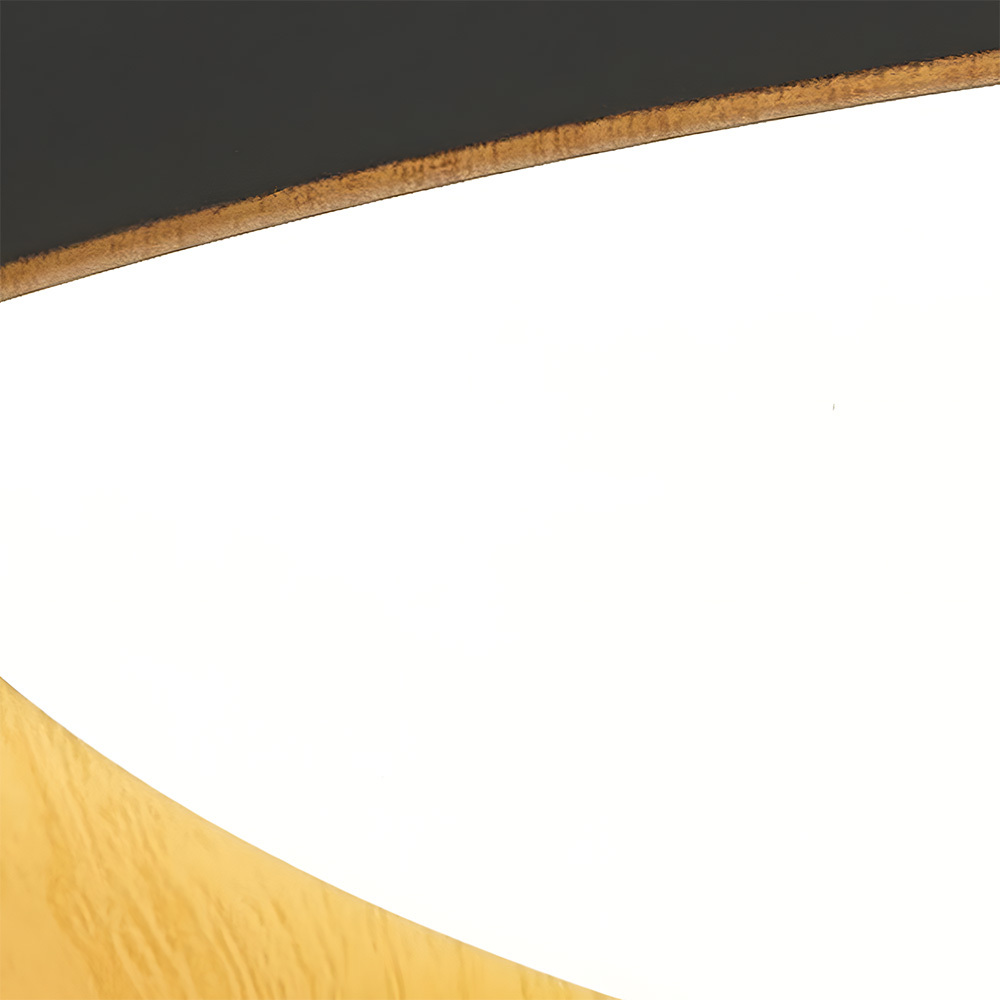 Minimalist Flush Mount Iron LED Ceiling Lamp