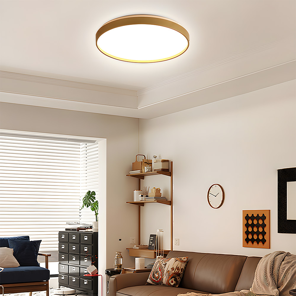 Minimalist Decor Round LED Bedroom Ceiling Lamps