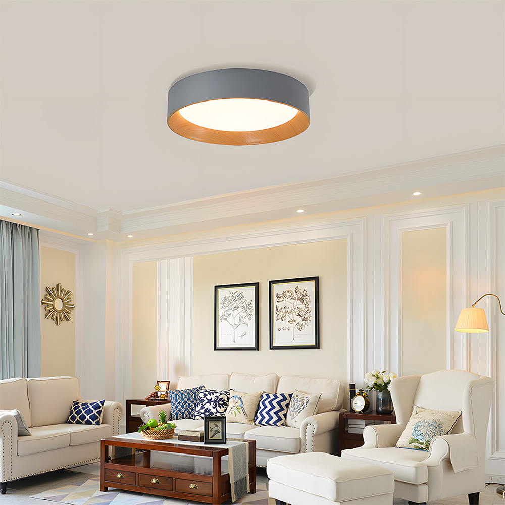 Modern Simple Metal Flush Living Room Ceiling Light Fixtures-6