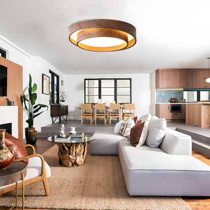 Creative Double Layer Round Led Living Room Ceiling Lamp-6