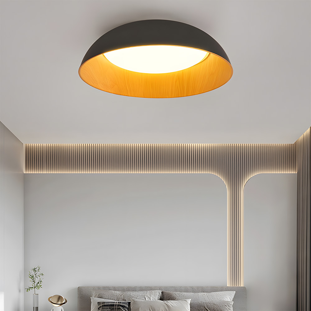 Minimalist Flush Mount Iron LED Ceiling Lamp