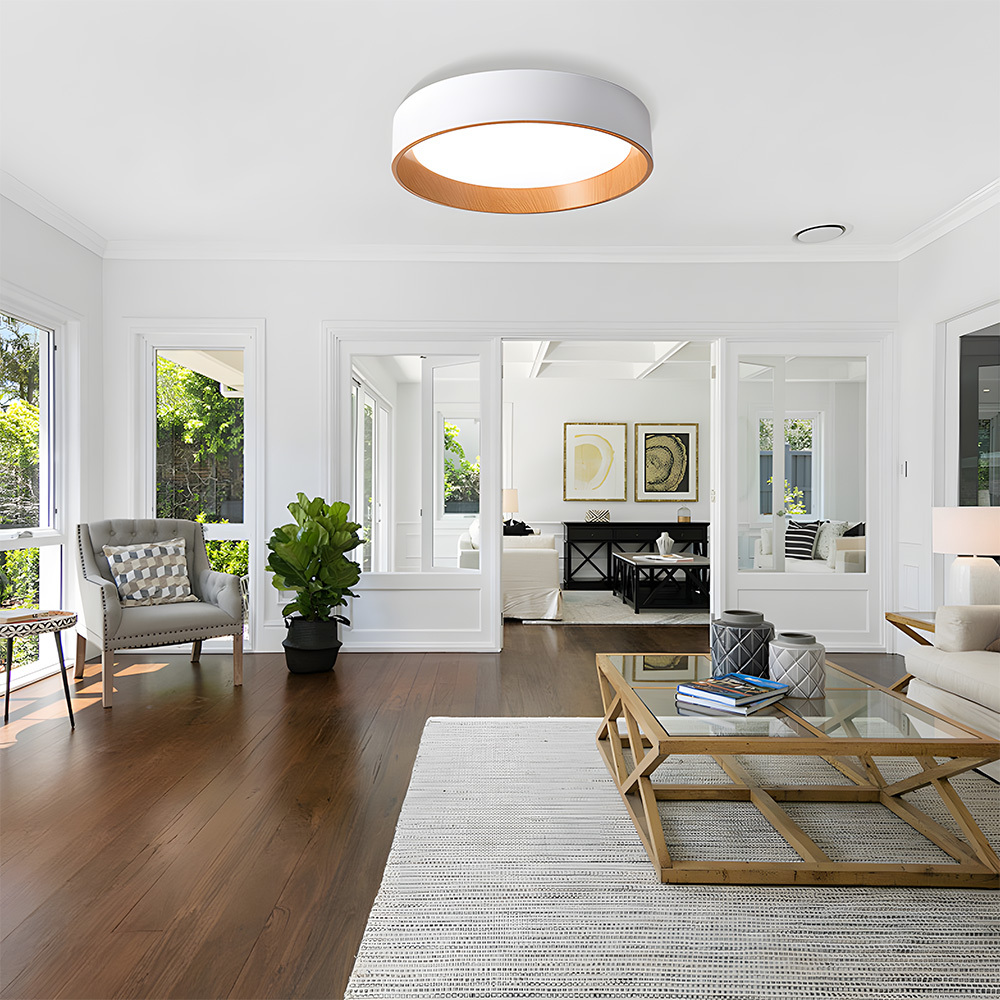 Modern Simple Metal Flush Living Room Ceiling Light Fixtures-2