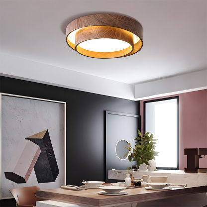 Creative Double Layer Round Led Living Room Ceiling Lamp-2