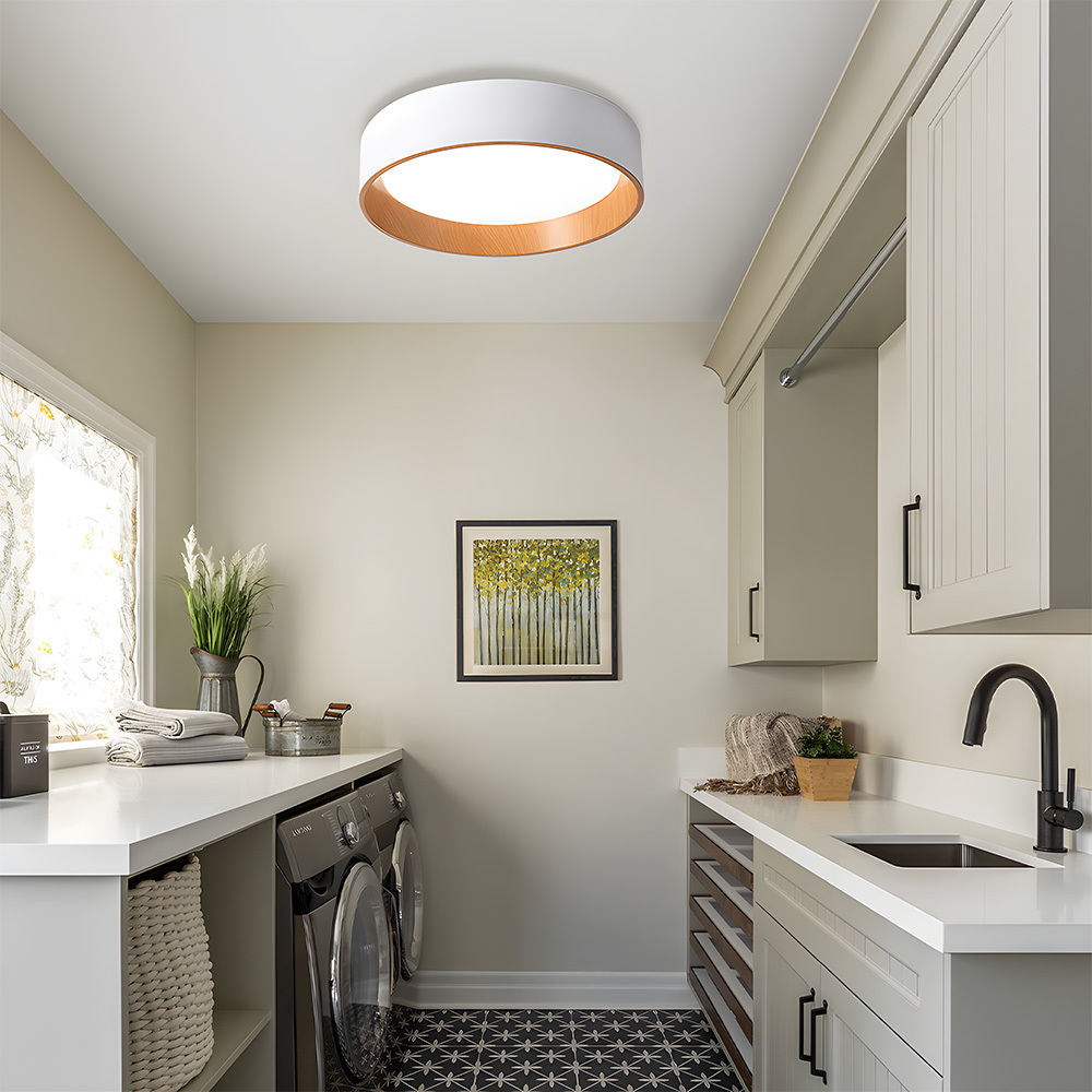 Modern Simple Metal Flush Living Room Ceiling Light Fixtures-1