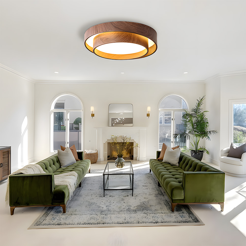 Creative Double Layer Round Led Living Room Ceiling Lamp-3