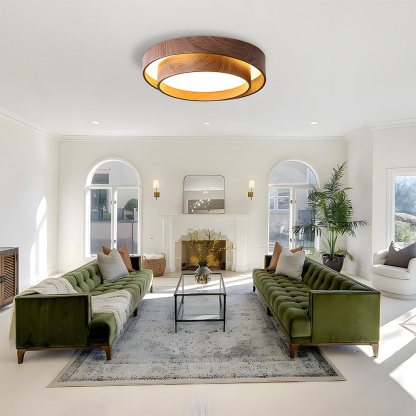 Creative Double Layer Round Led Living Room Ceiling Lamp-3