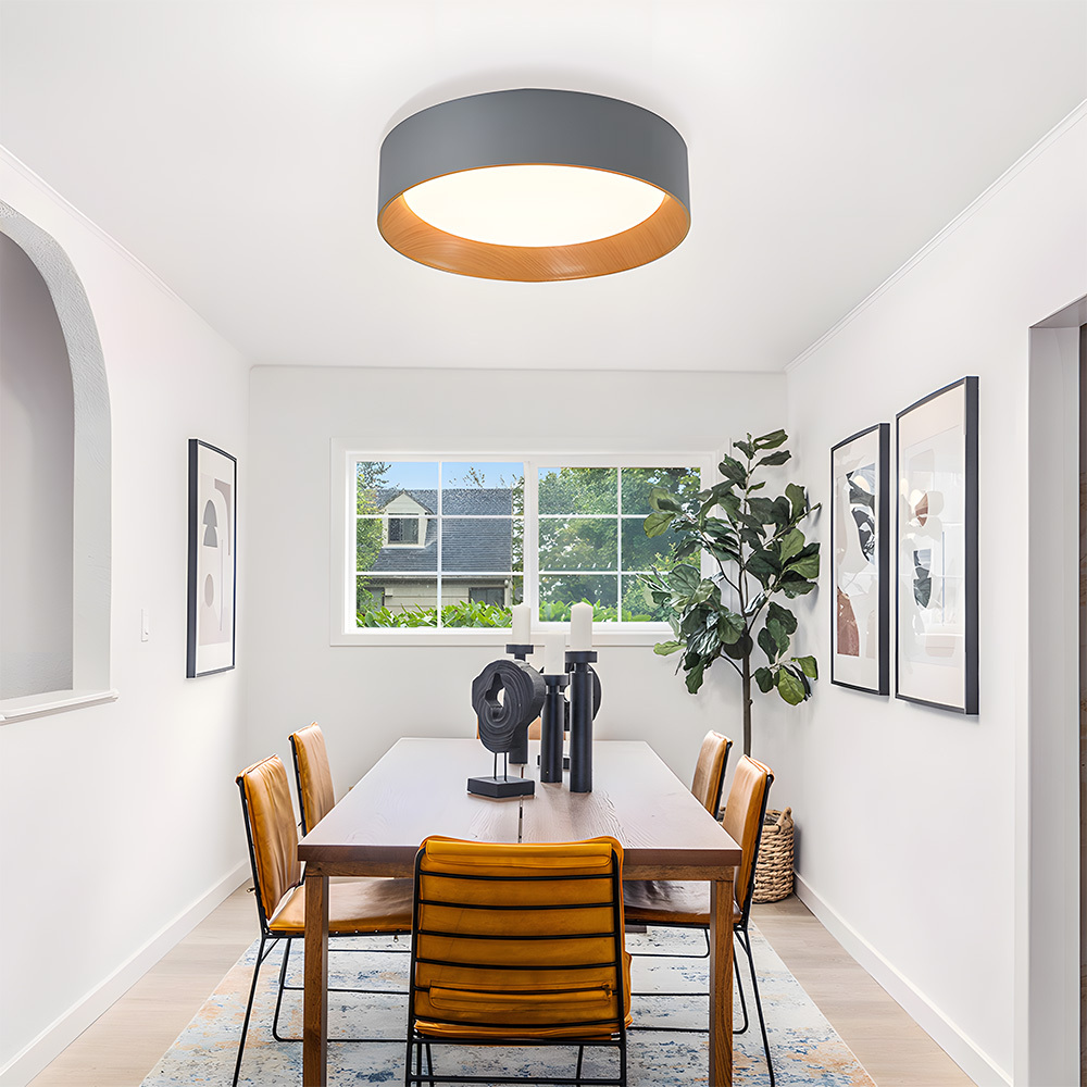 Modern Simple Metal Flush Living Room Ceiling Light Fixtures-5