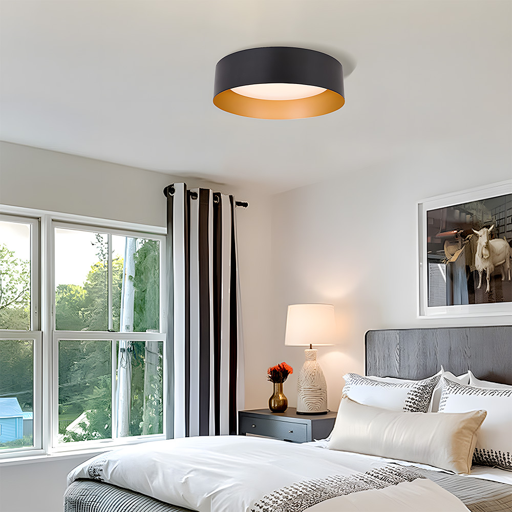 Modern Simple Metal Flush Living Room Ceiling Light Fixtures-9