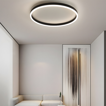 Modern Kitchen Round LED Ceiling Light Color Changing