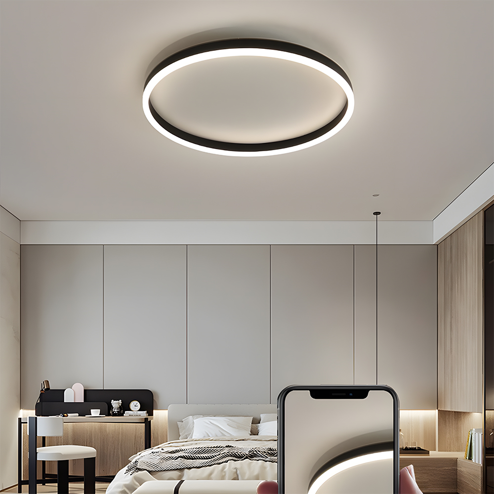 Modern Kitchen Round LED Ceiling Light Color Changing