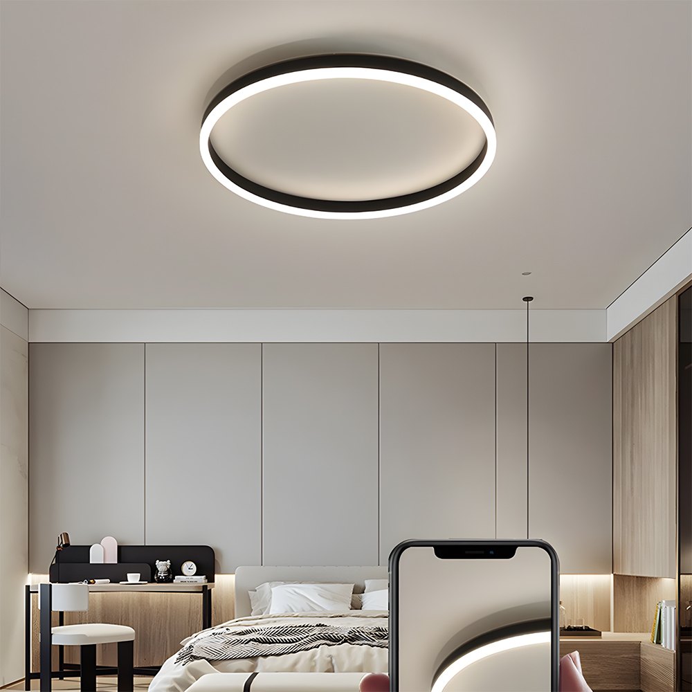 Modern Kitchen Round LED Ceiling Light Color Changing