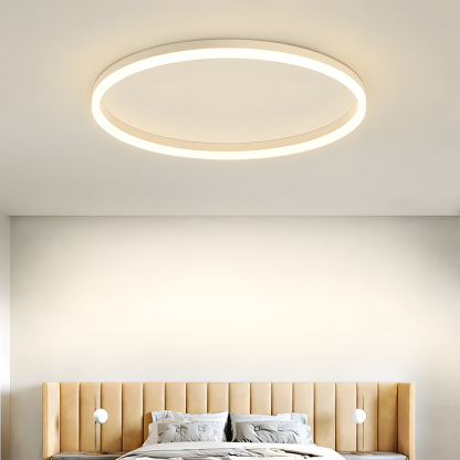 Modern Kitchen Round LED Ceiling Light Color Changing