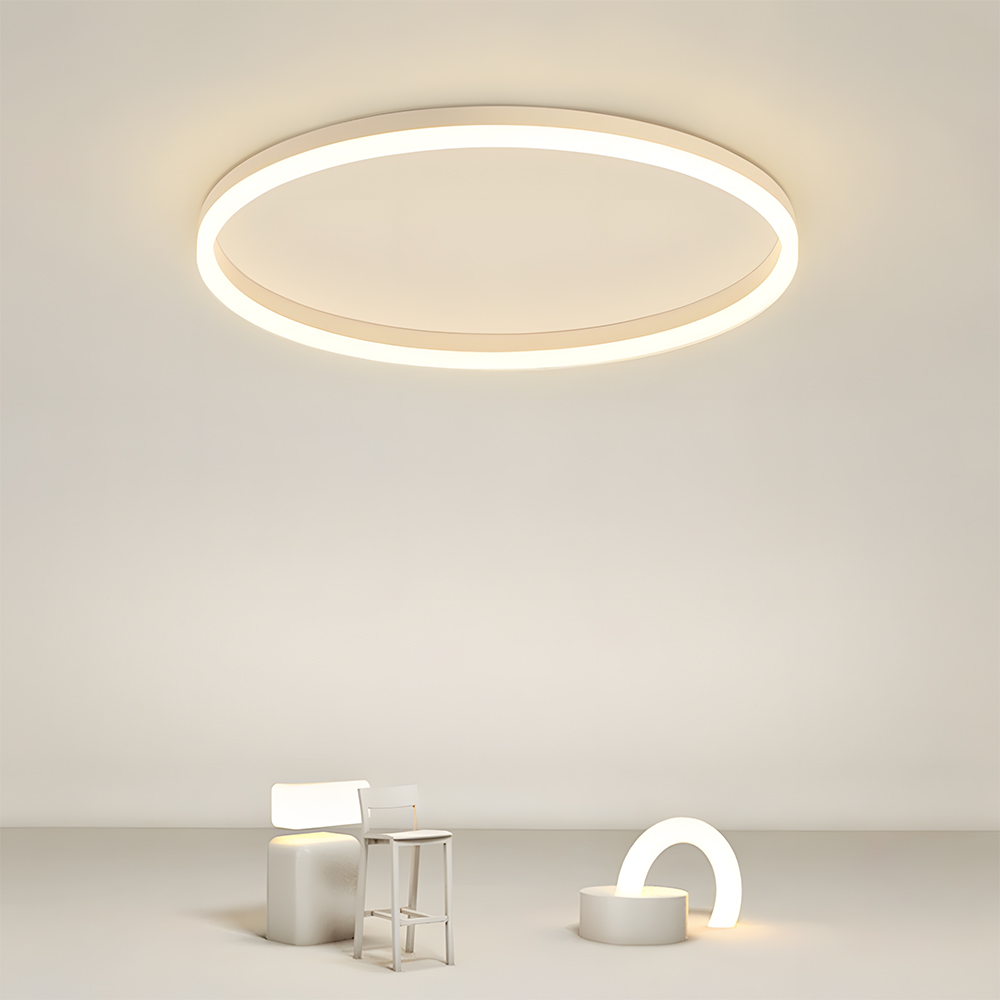 Modern Kitchen Round LED Ceiling Light Color Changing