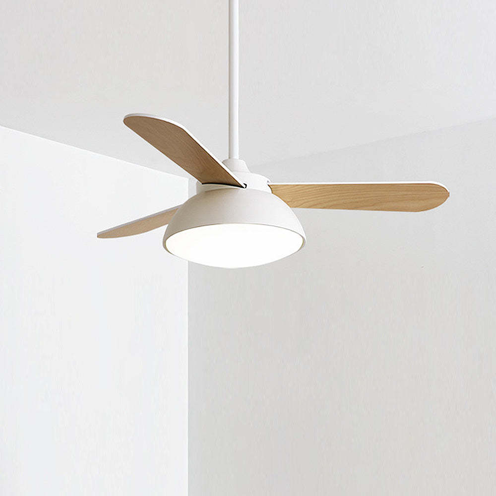Modern Simple Flush Ceiling Fan With LED Lighting -Homdiy